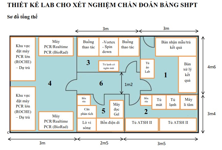 Bản thiết kế LAB cho xét nghiệm chuẩn đoán bằng SHPT