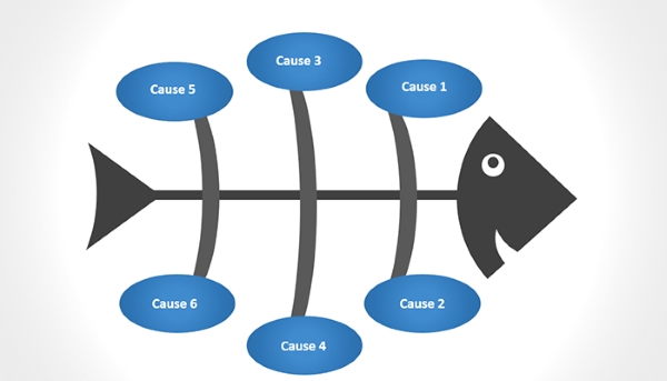 Mô hình mẫu của một biểu đồ xương các cơ bản, chưa có nội dung chi tiết