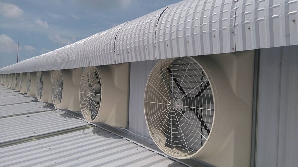 Hệ thống quạt thông gió lắp trên tường làm mát nhà xưởng
