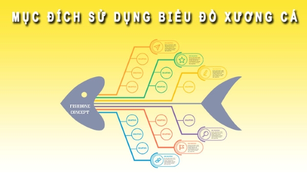 Biểu đồ xương cá thể hiện nhiều vấn đề liên quan đến nguyên nhân