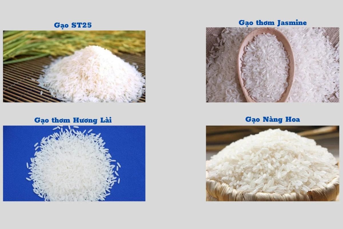 Rủi ro khi kinh doanh gạo và hình ảnh các loại gạo phổ biến ở Việt Nam.