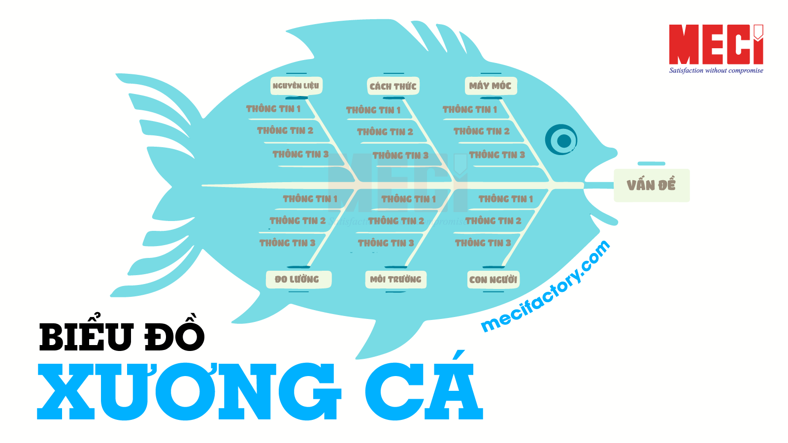 Ảnh bìa bài viết Biểu đồ xương cá