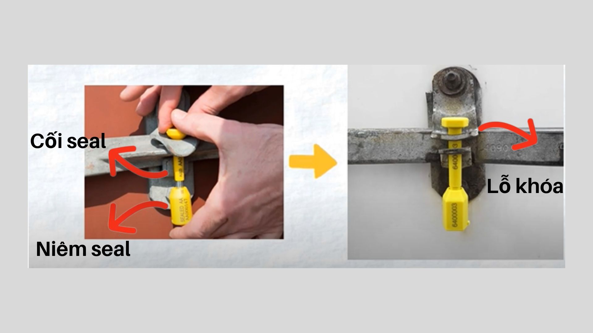 Seal chì cối có màu vàng đang được một người thao tác khóa Container