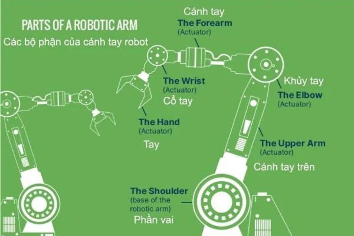 Các bộ phận của cánh tay robot: cánh tay, khủy tay, tay, cánh tay trên, phần vai