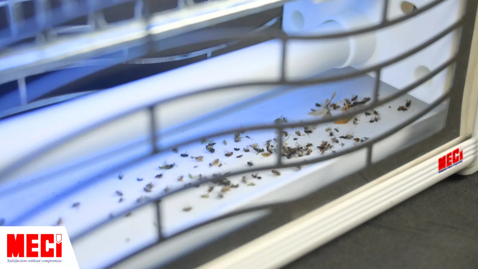 Góc cận đèn diệt côn trùng đang hoạt động và xác công trùng trong khay