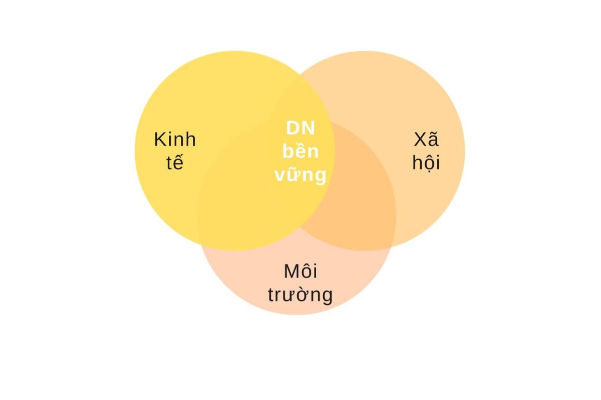 3 vòng tròn gồm kinh tế, xã hội và môi trường giao nhau