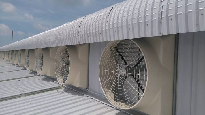 Hệ thống thông gió phía trên nhà xưởng với những máy quạt tròn được lắp.