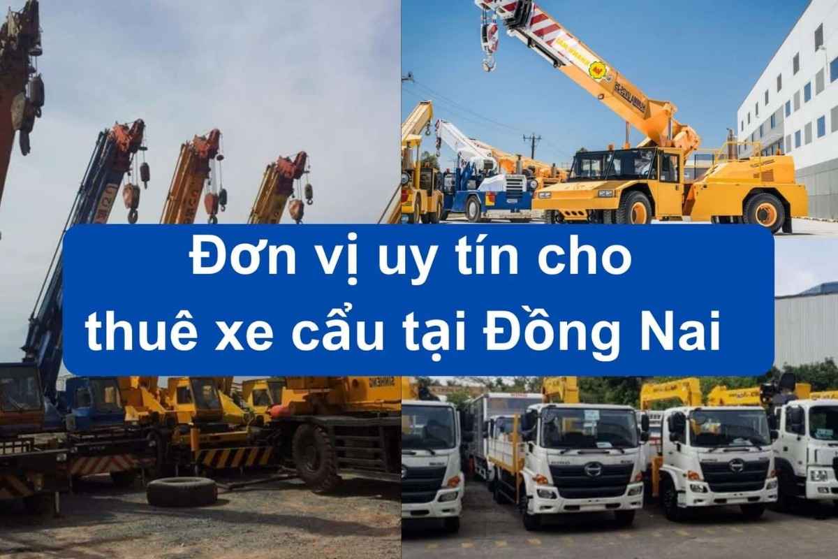Minh hoạ đơn vị cho thuê xe cẩu uy tín tại Đồng Nai