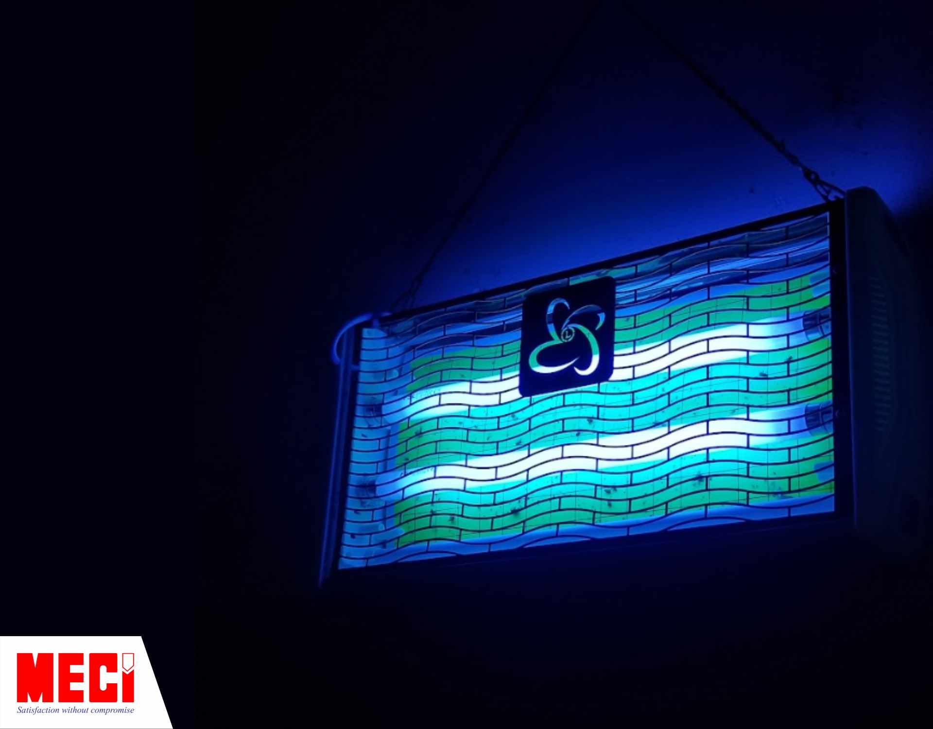 cận cảnh chiếc đèn diệt côn trùng keo dính, trên bề mặt miếng keo có nhiều xác côn trùng