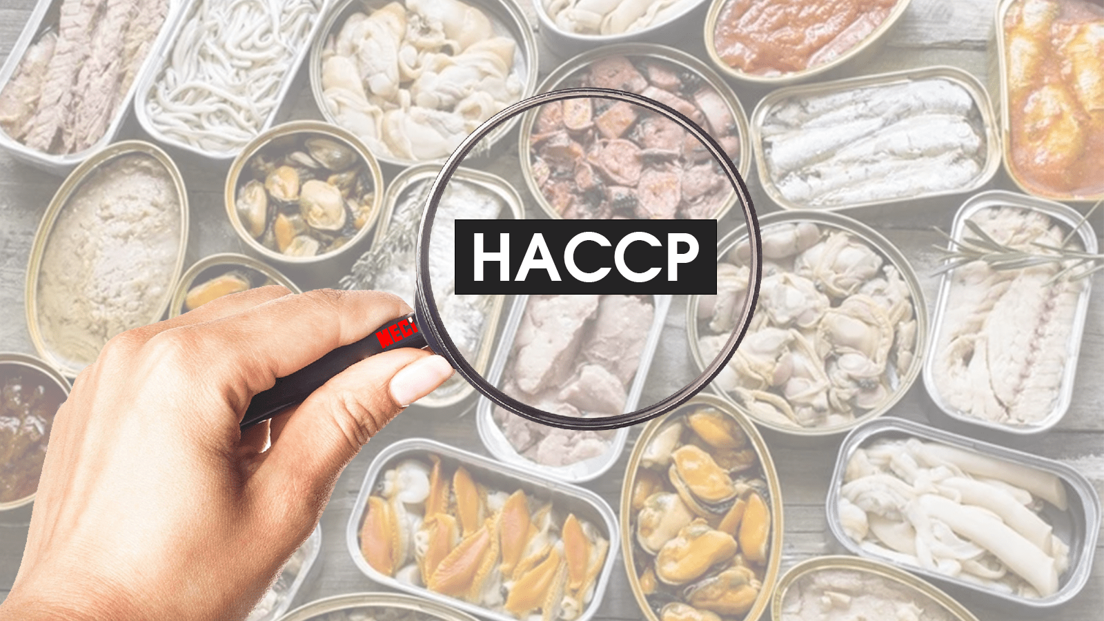 Ảnh bìa bài viết HACCP là gì