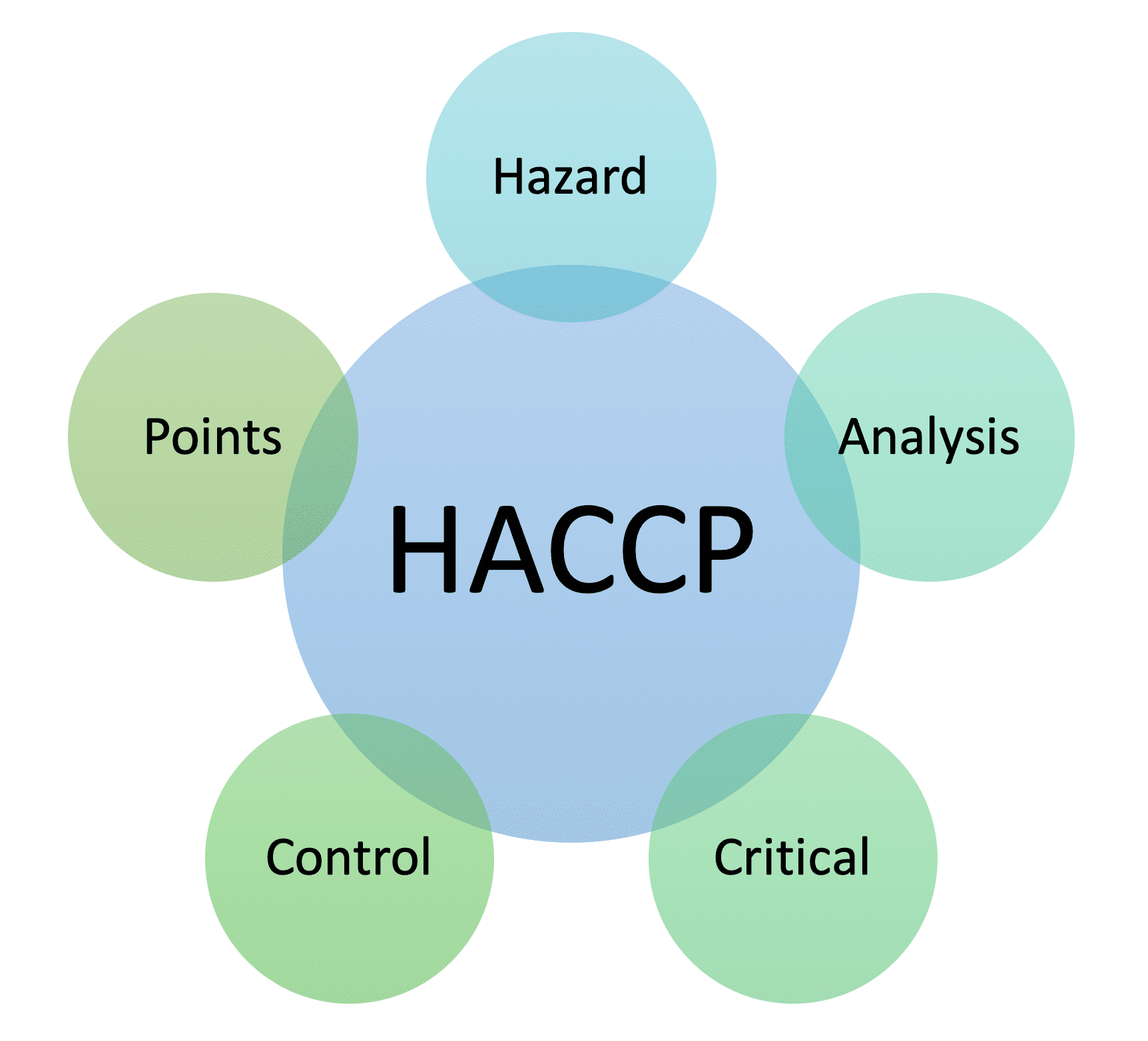 Hình ảnh 5 hình tròn nhỏ xung quanh 1 hình tròn lớn có chữ HACCP.