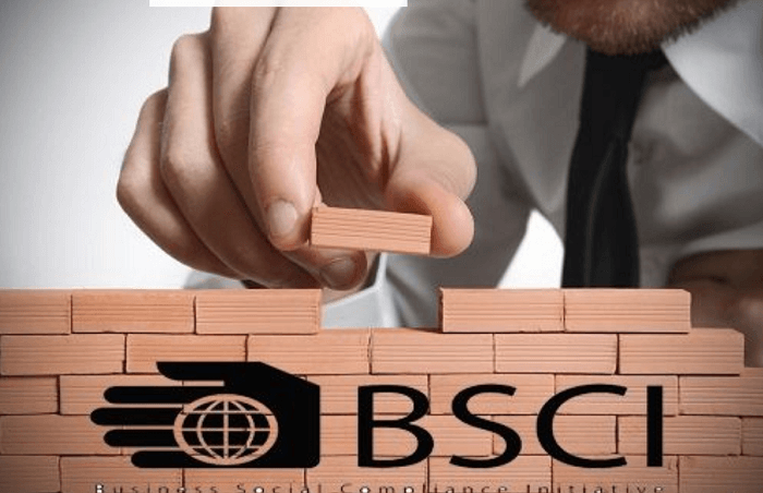 Người đàn ông đang lắp một viên gạch nhỏ vào bức tường có chữ BSCI