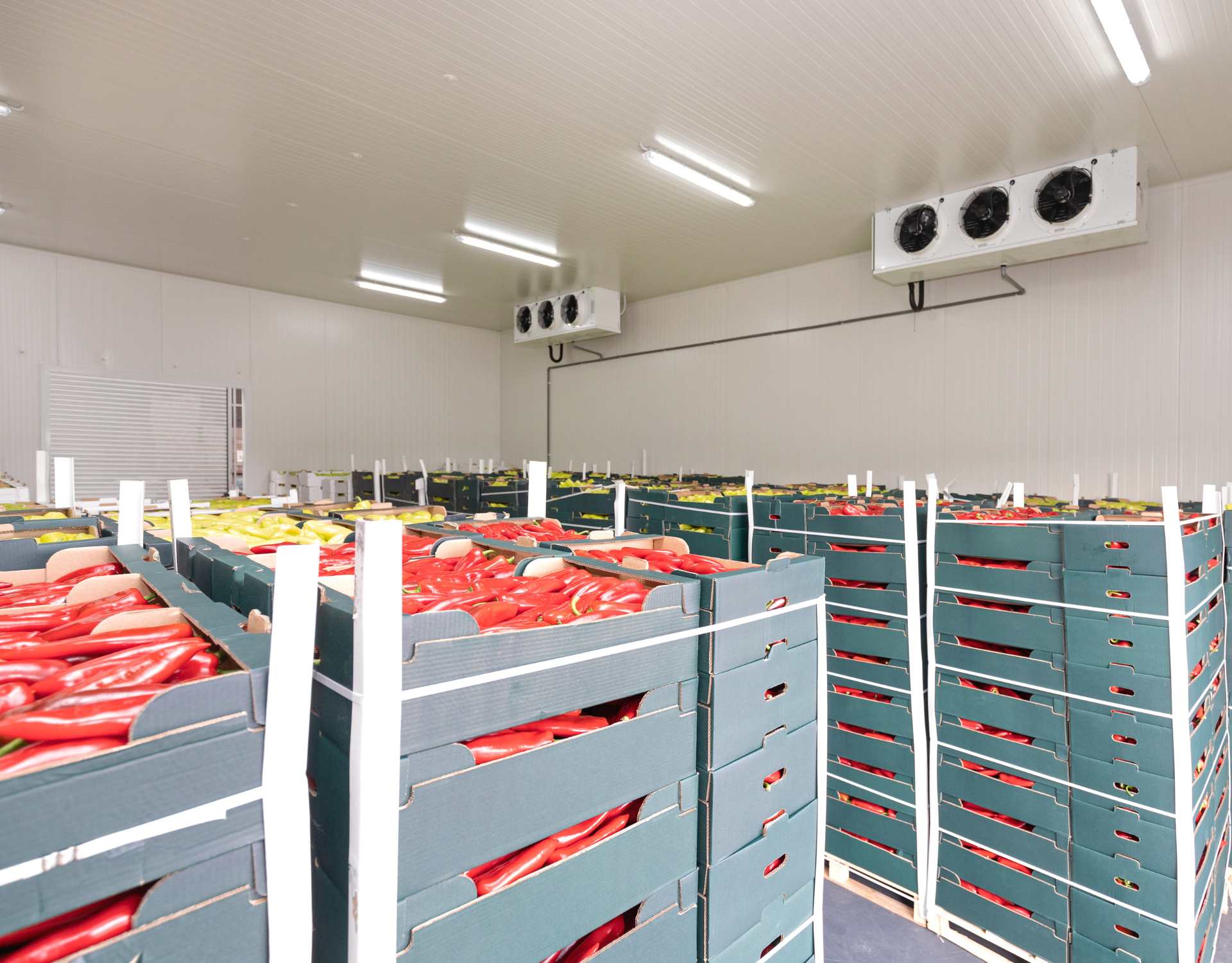 kho lạnh có nhiều kệ hàng chứa trái cây, thịt cá