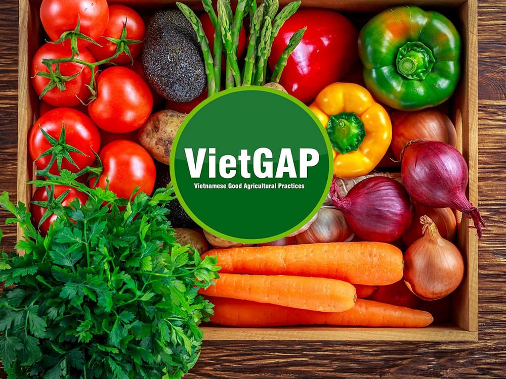 Tiêu chuẩn VietGAP