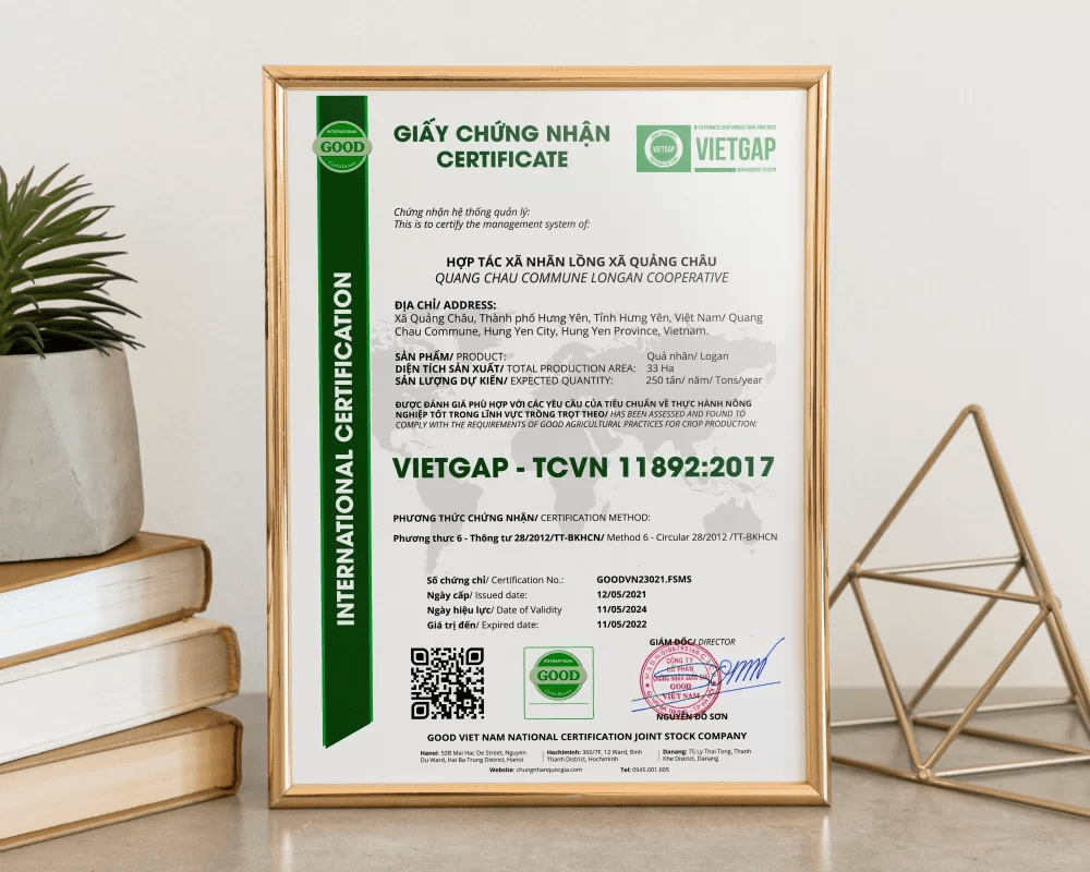 Giấy chứng nhận đạt chuẩn VietGAP