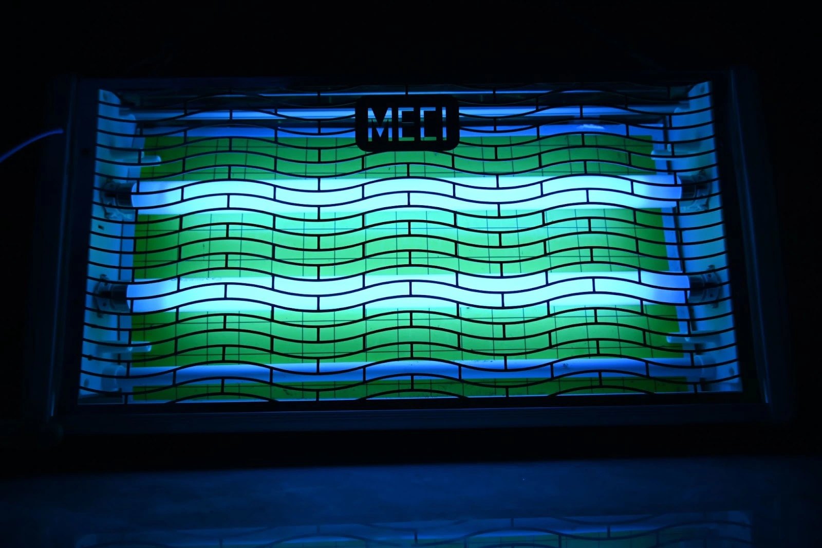 Đèn diện côn trùng bằng keo đang hoạt động