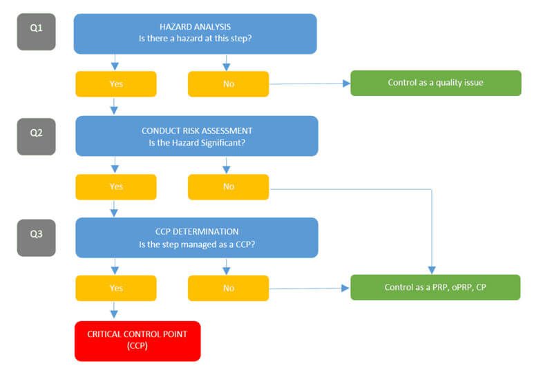 Sơ đồ có câu hỏi màu xanh dương, từ “yes”, “no” màu vàng, CCP trong khung màu đỏ. Chữ Q1, Q2, Q3 ở khung màu xám. Còn lại là khung màu xanh.