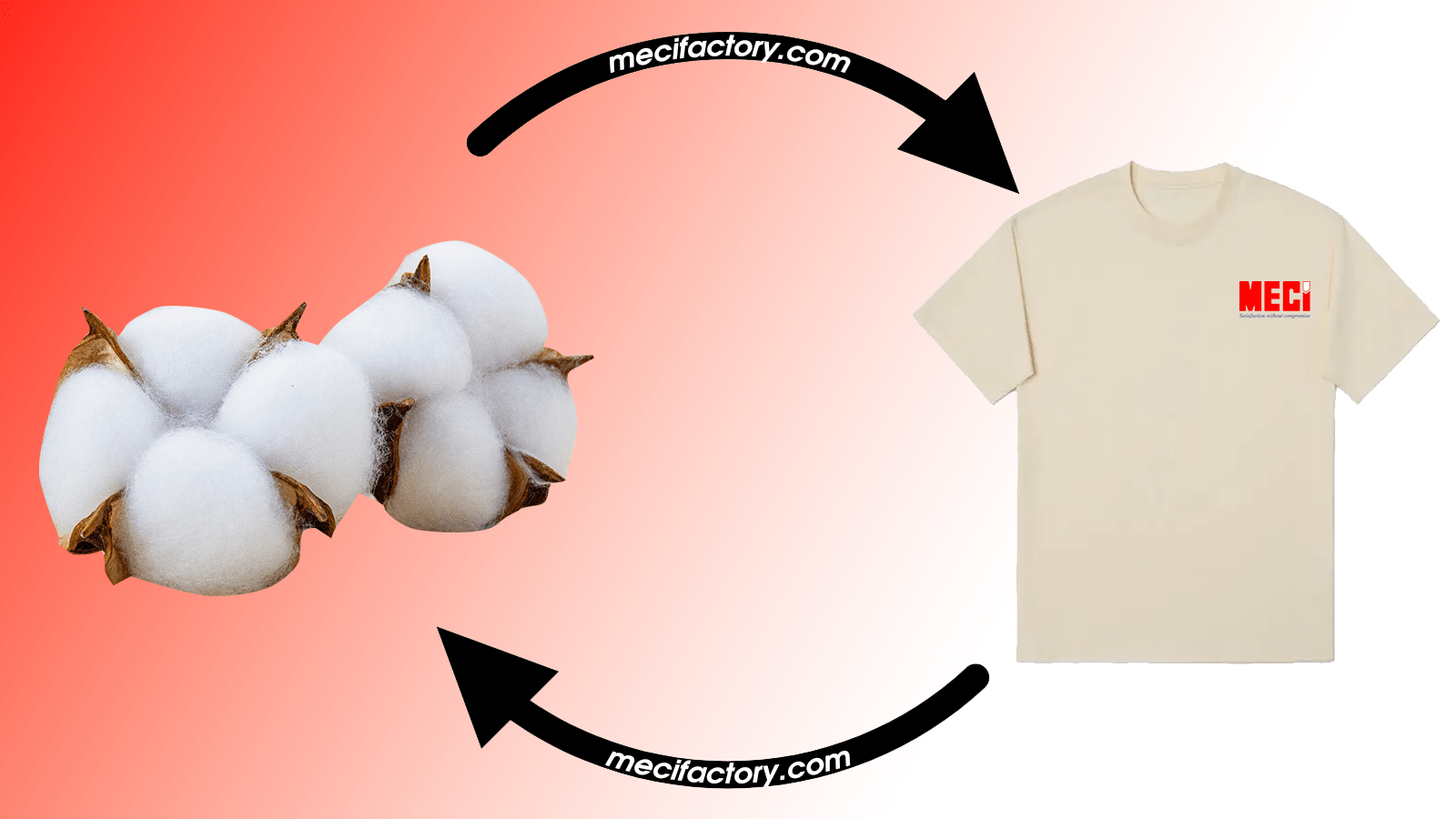 Ảnh bìa bài viết Vòng đời sản phẩm