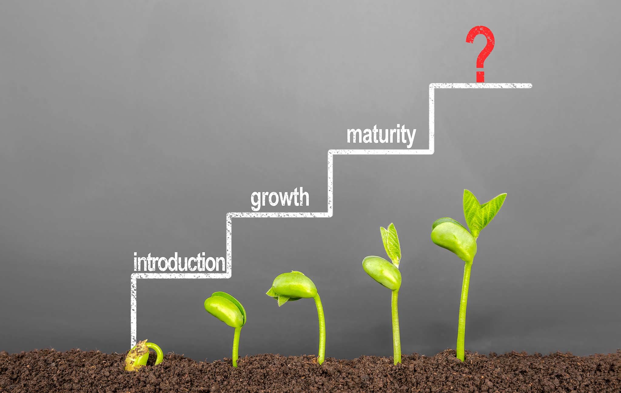 Các nấc thang minh họa về giai đoạn sản phẩm