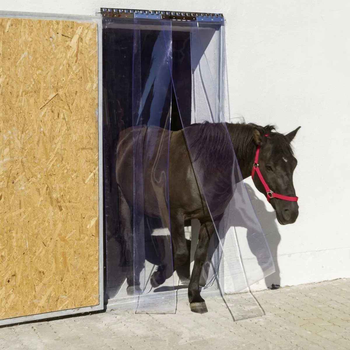 một con ngựa đi qua lốt ra vào nhỏ có lắp rèm nhựa pvc màu trắng trong