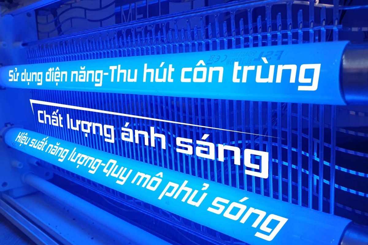 Bóng đèn côn trùng và các text thể hiện vai trò của nó