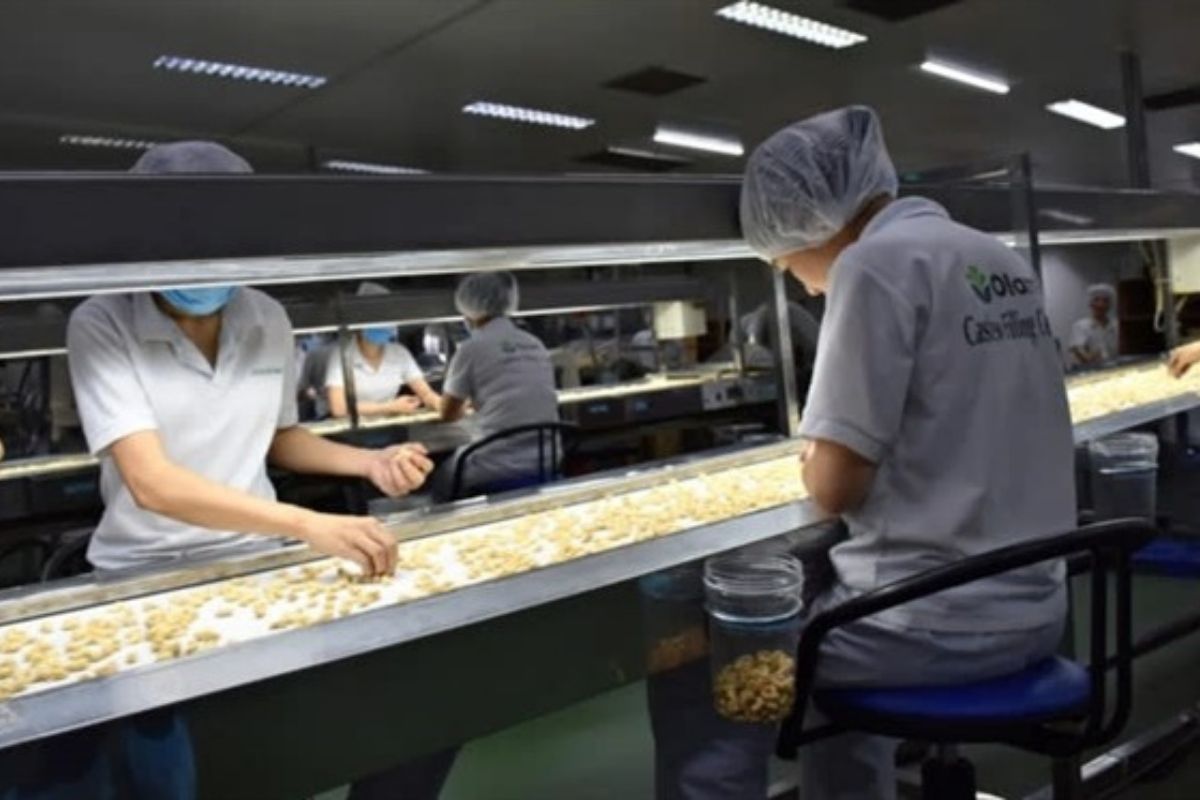 4 nhân viên nhà máy Olam Group - Đối tác lâu năm của MECIđang ngồi gần băng chuyền sản xuất để làm việc