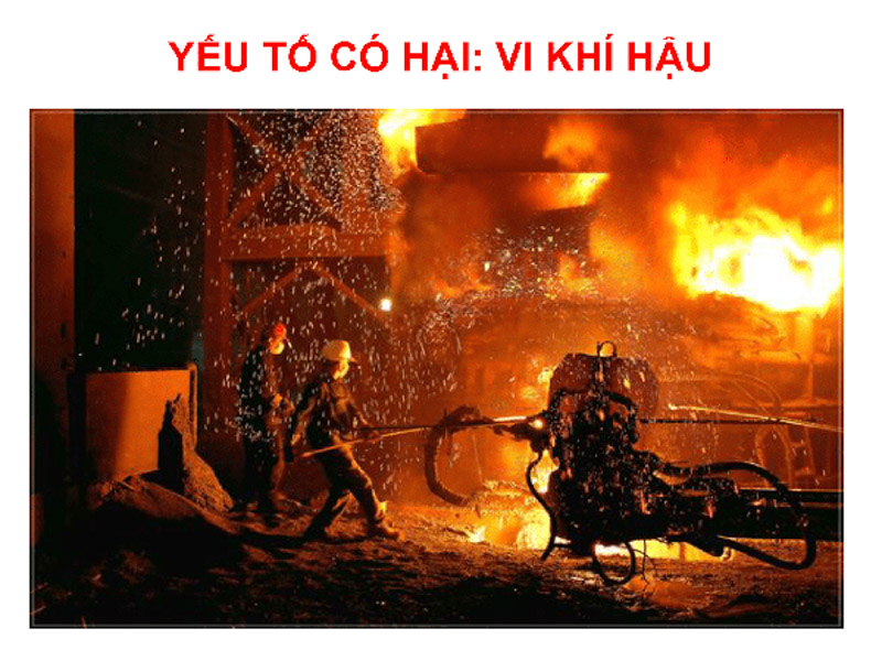 Vi khí hậu có hai là gì