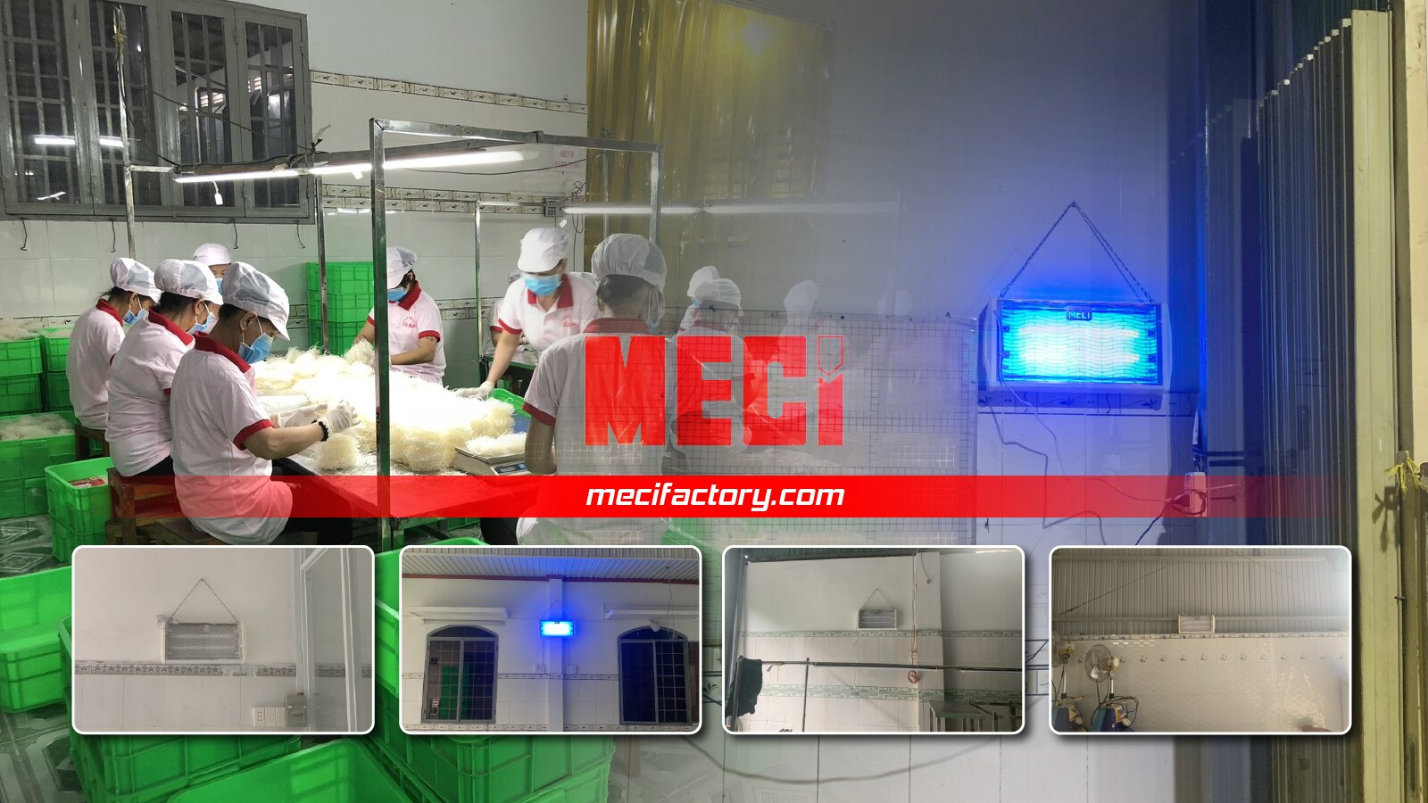 ảnh bìa của đèn diệt côn trùng cho nhà máy Gia Bảo